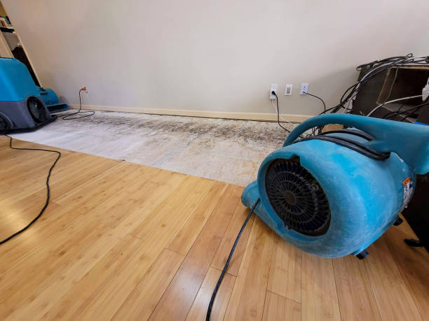 Professional Flood Damage Cleanup technician working in Springville, IA